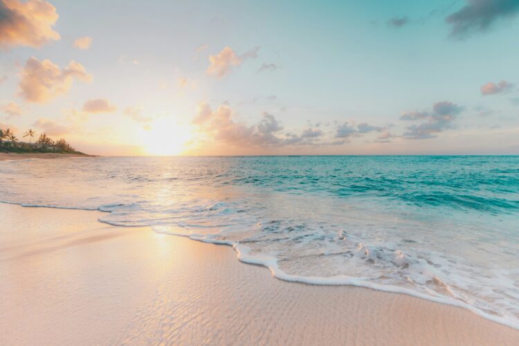 Plan a Vacation