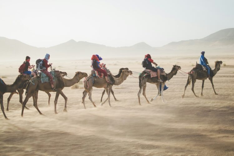 Travel Packages to Turkey